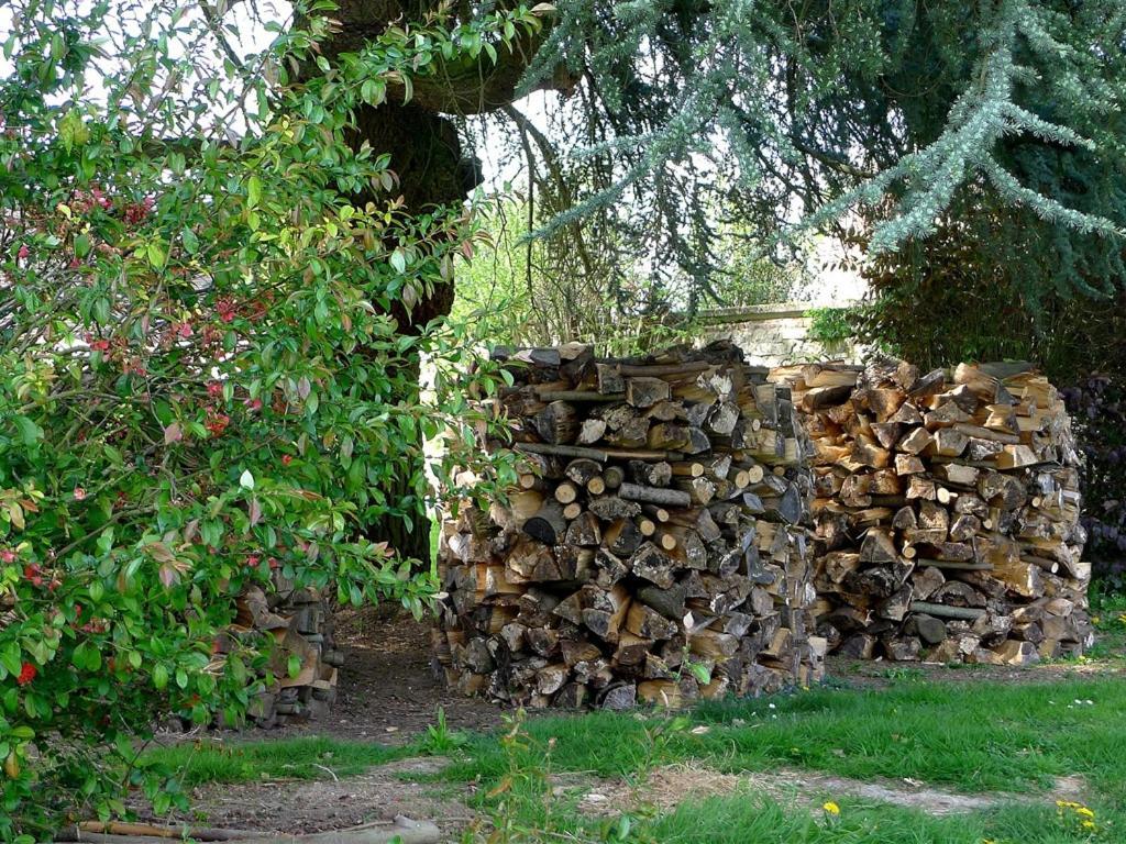 Le Sous-Bois B&B Moyenneville  Exterior photo